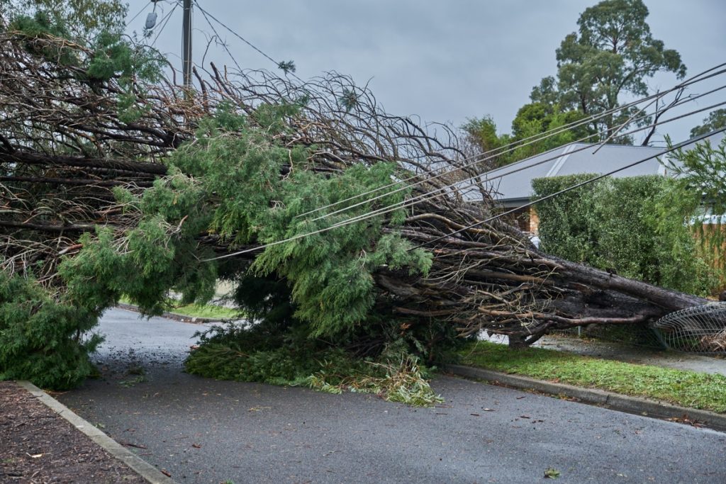 Insurance services by Insurance Managers in Tupelo, MS.